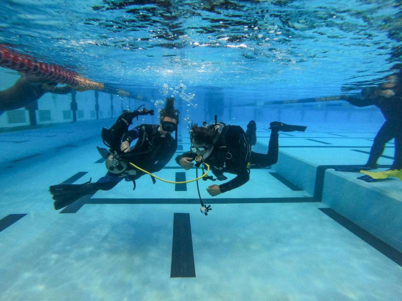 Dive HQ