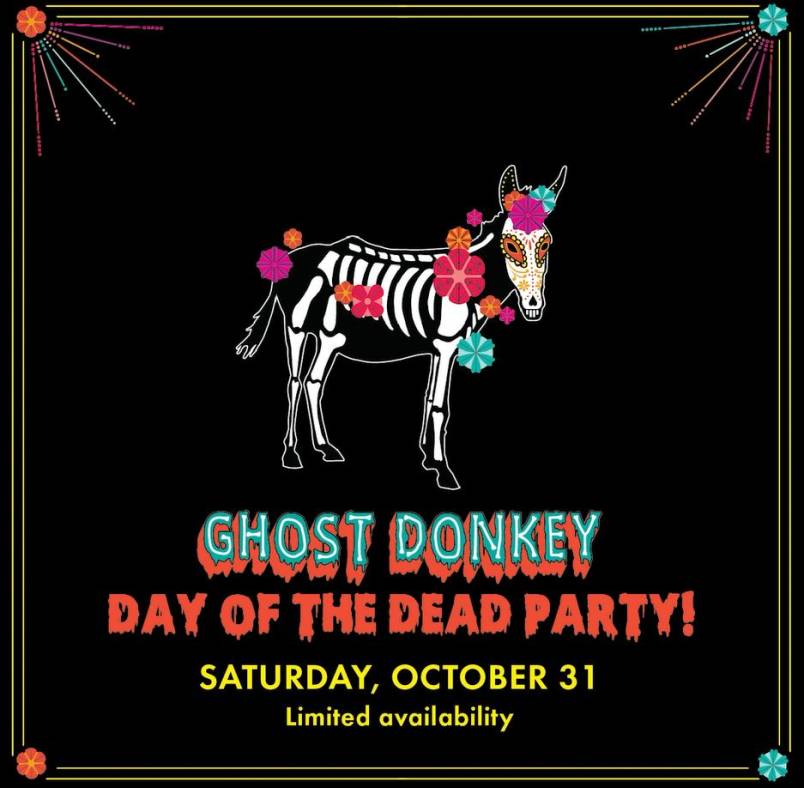 Day-of-the-dead-Ghost-Donkey.JPG 