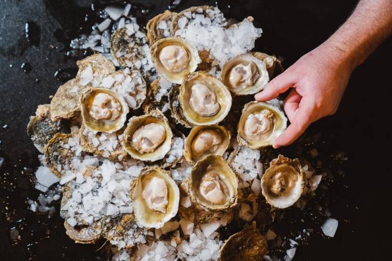 🦪 Bluff Oysters Season 2021 in Auckland Central Heart of the City