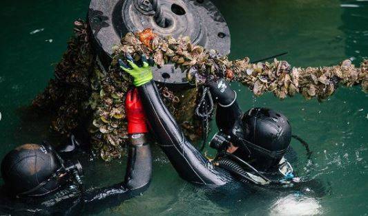 Mussels-Te-Wananga.JPG