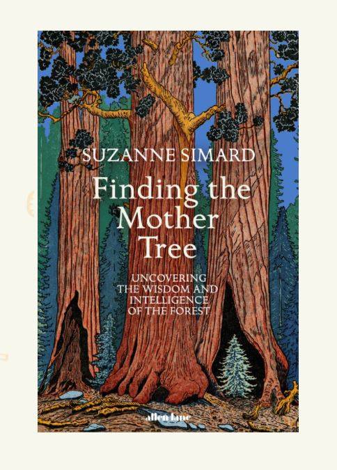Unity-books-finding-mother-tree