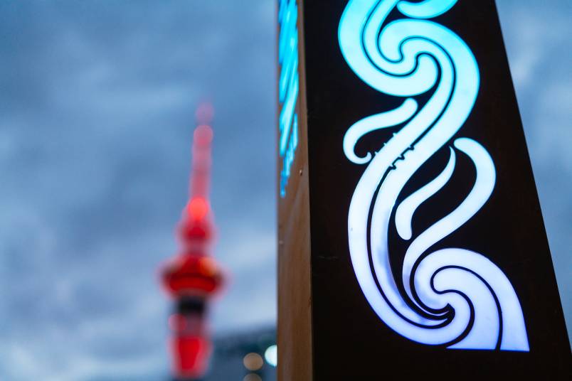 Te Maharatanga o Ngā Wai - hero.jpg 