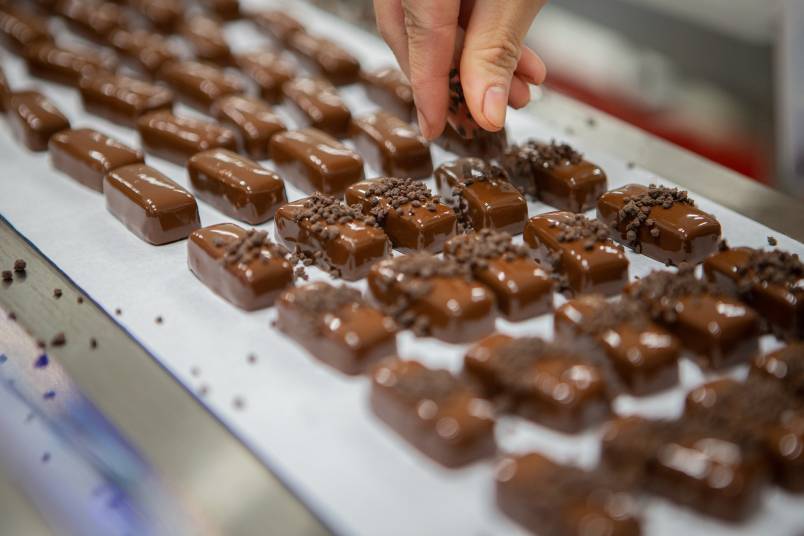 Bohemian Fresh Chocolates 