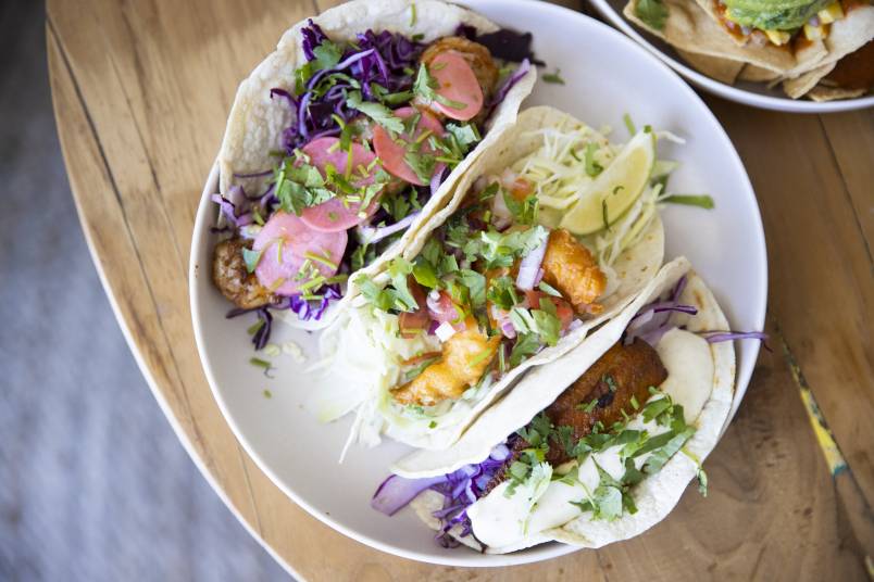 Tacos on a plate