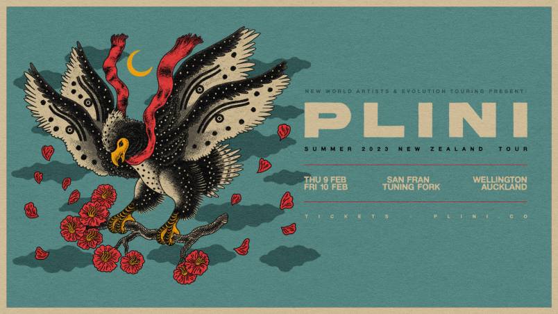 Plini 
