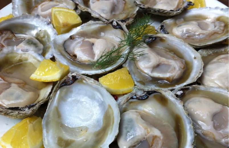 Bluff oysters at Headquarters 