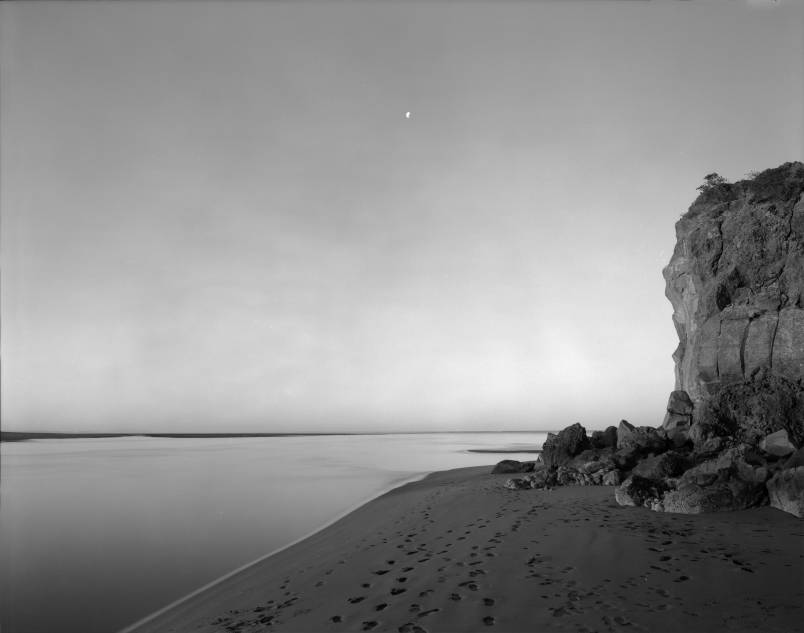 Mark Adams