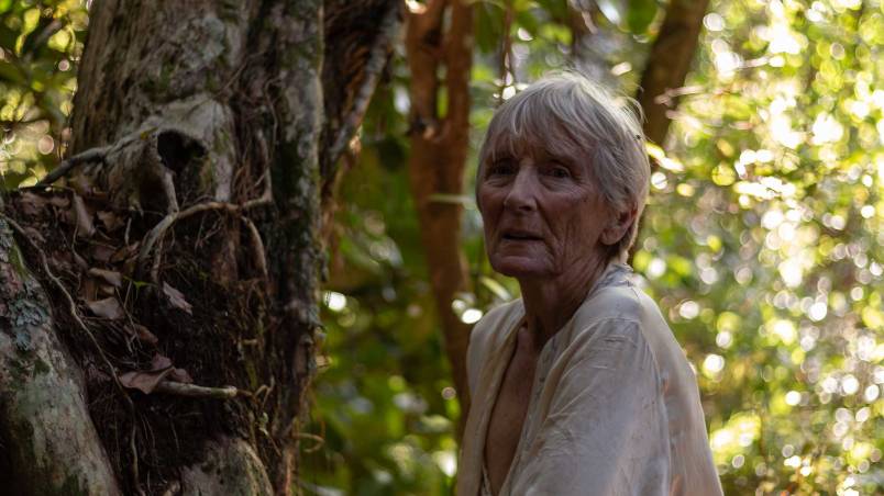 Growing Still NZIFF 2025