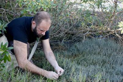 Foraged at O'Connell St Bistro