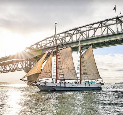 Sunset Sail Graze