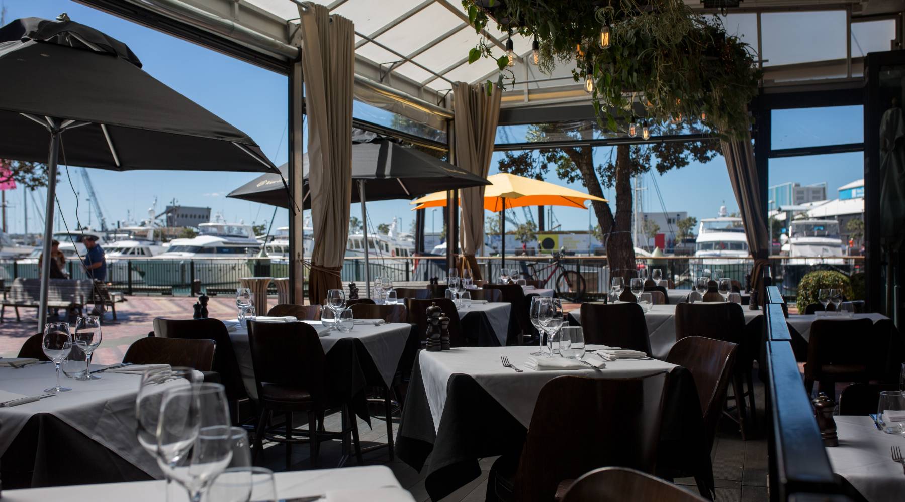 Oyster & Chop Auckland Dining Heart of the City