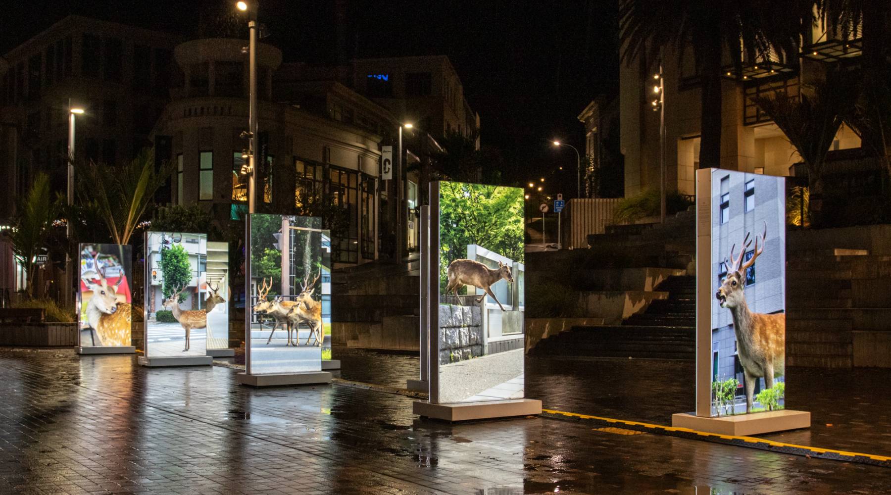 Auckland Festival of Photography Auckland Heart of the City