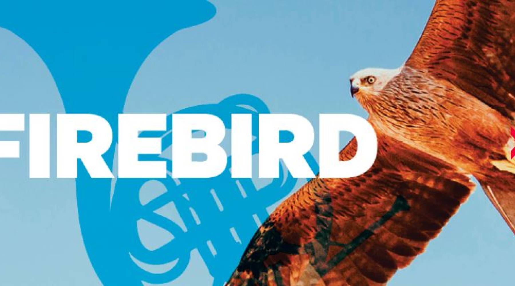 Archived: Firebird | Heart of the City