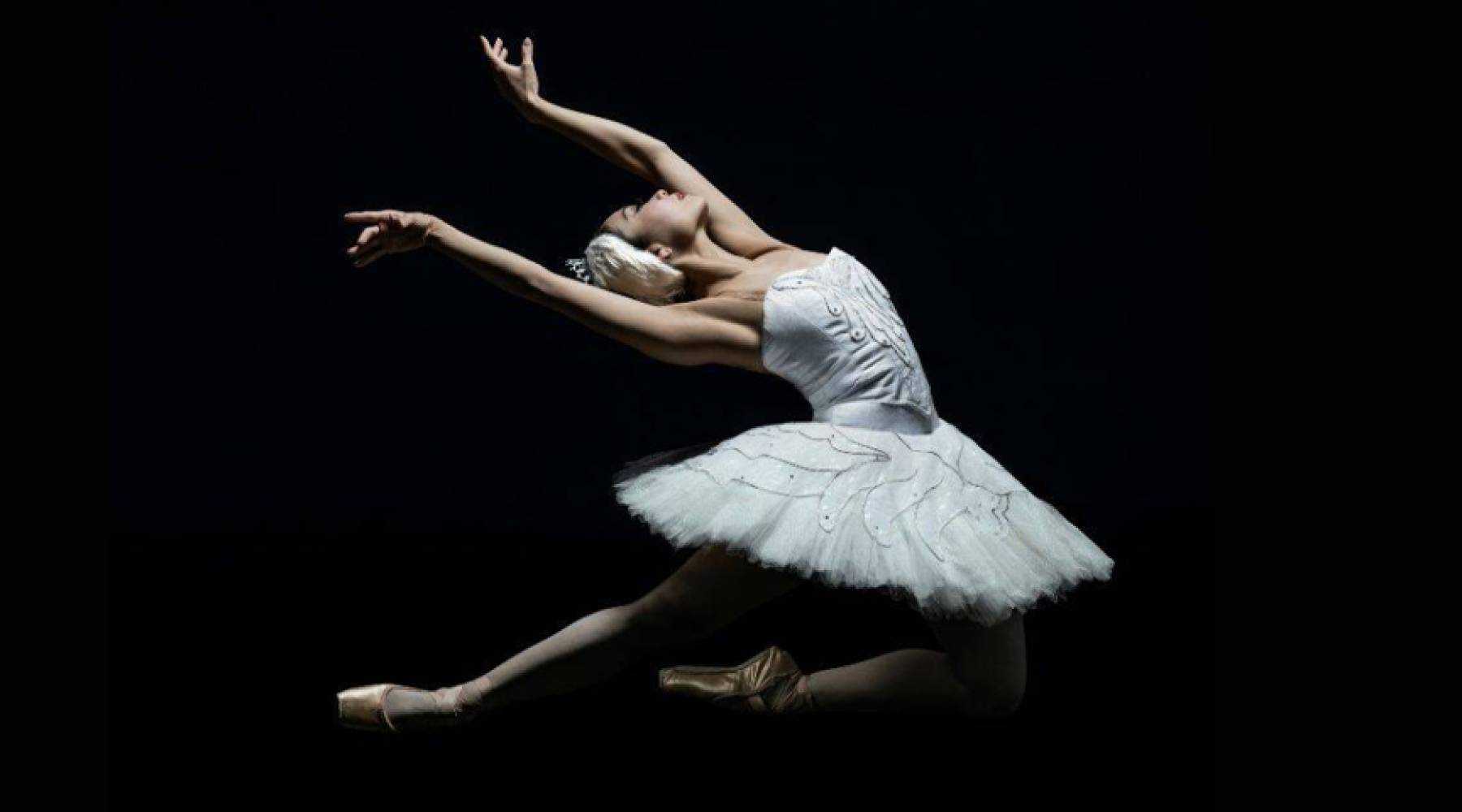 Archived: Swan Lake | Heart of the City