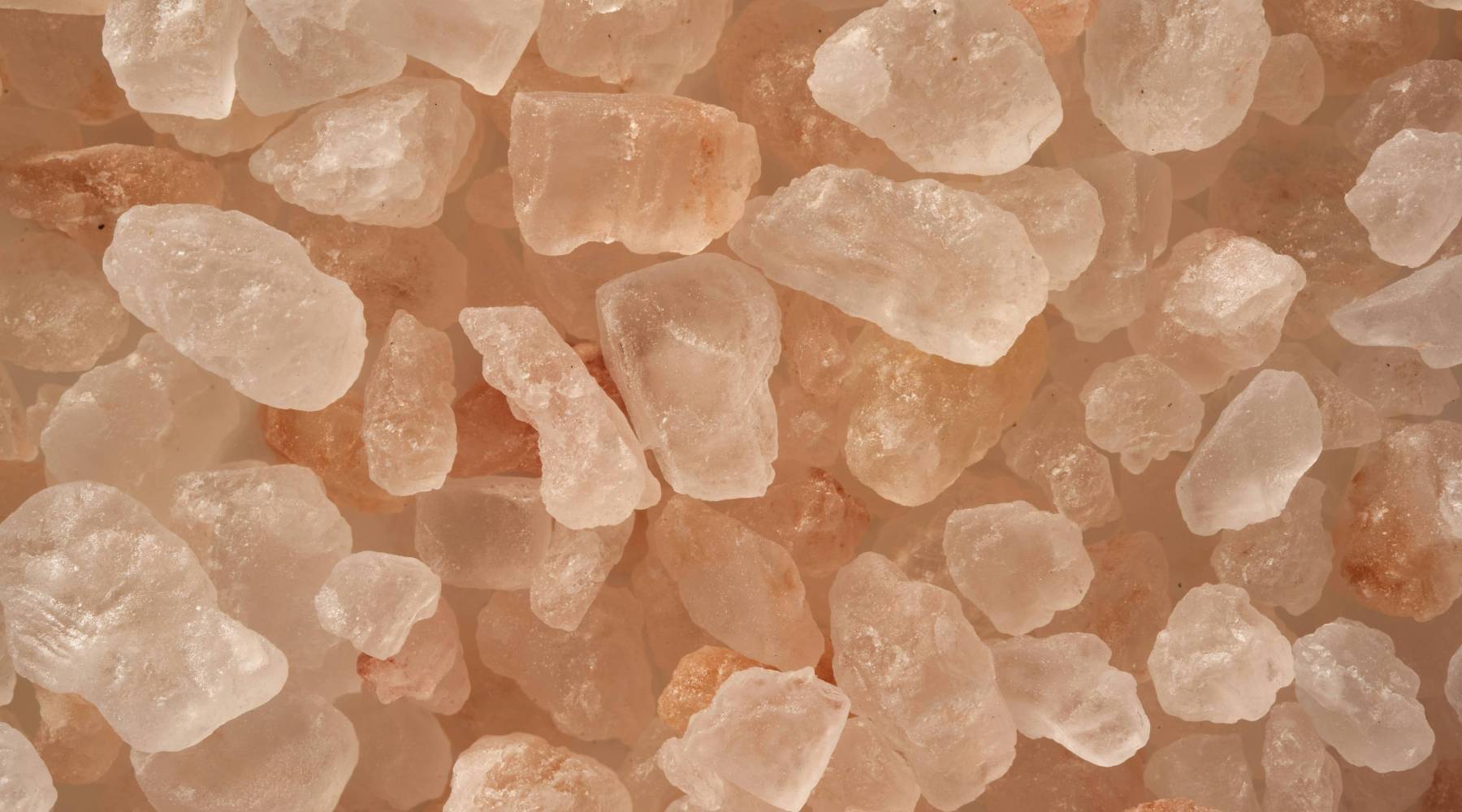 Archived: With a Grain of Salt: Exploring its Flavour and Functionality ...